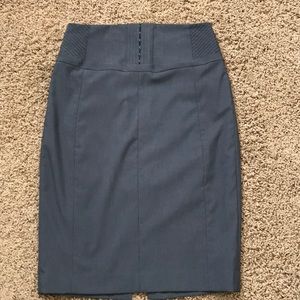 Express Pencil Skirt
